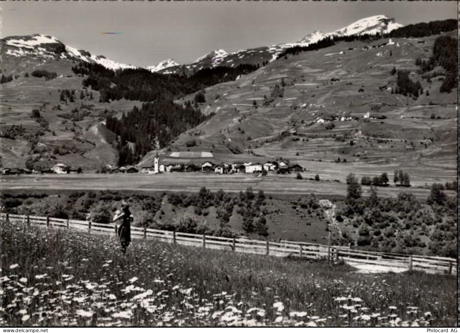 7433 Mathon - 50470317