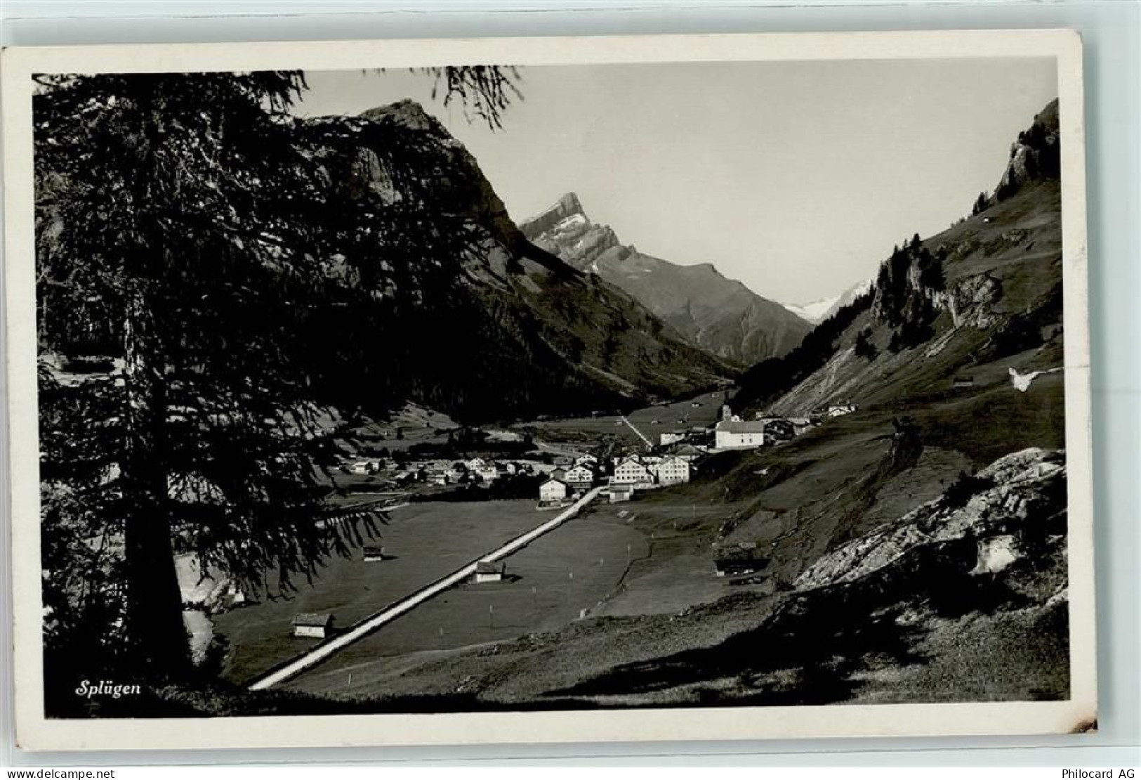 7435 Splügen - 10207273