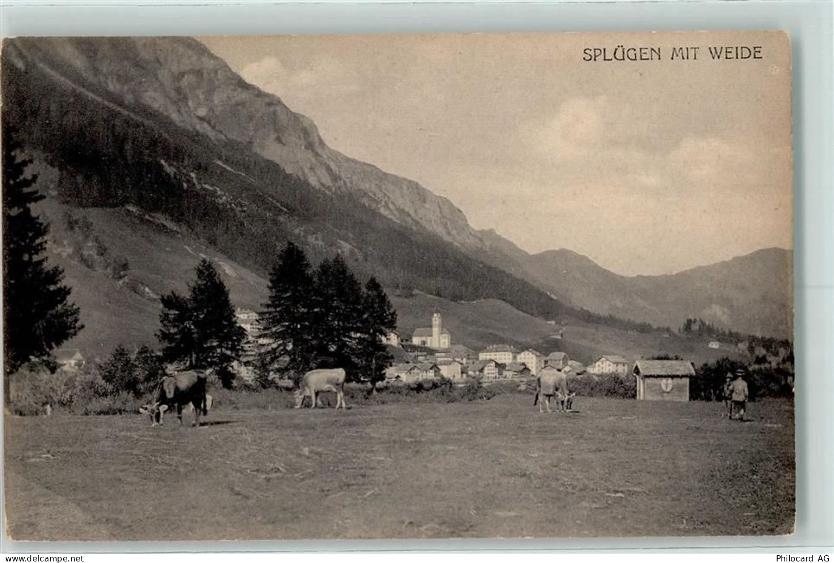 7435 Splügen - 10207300