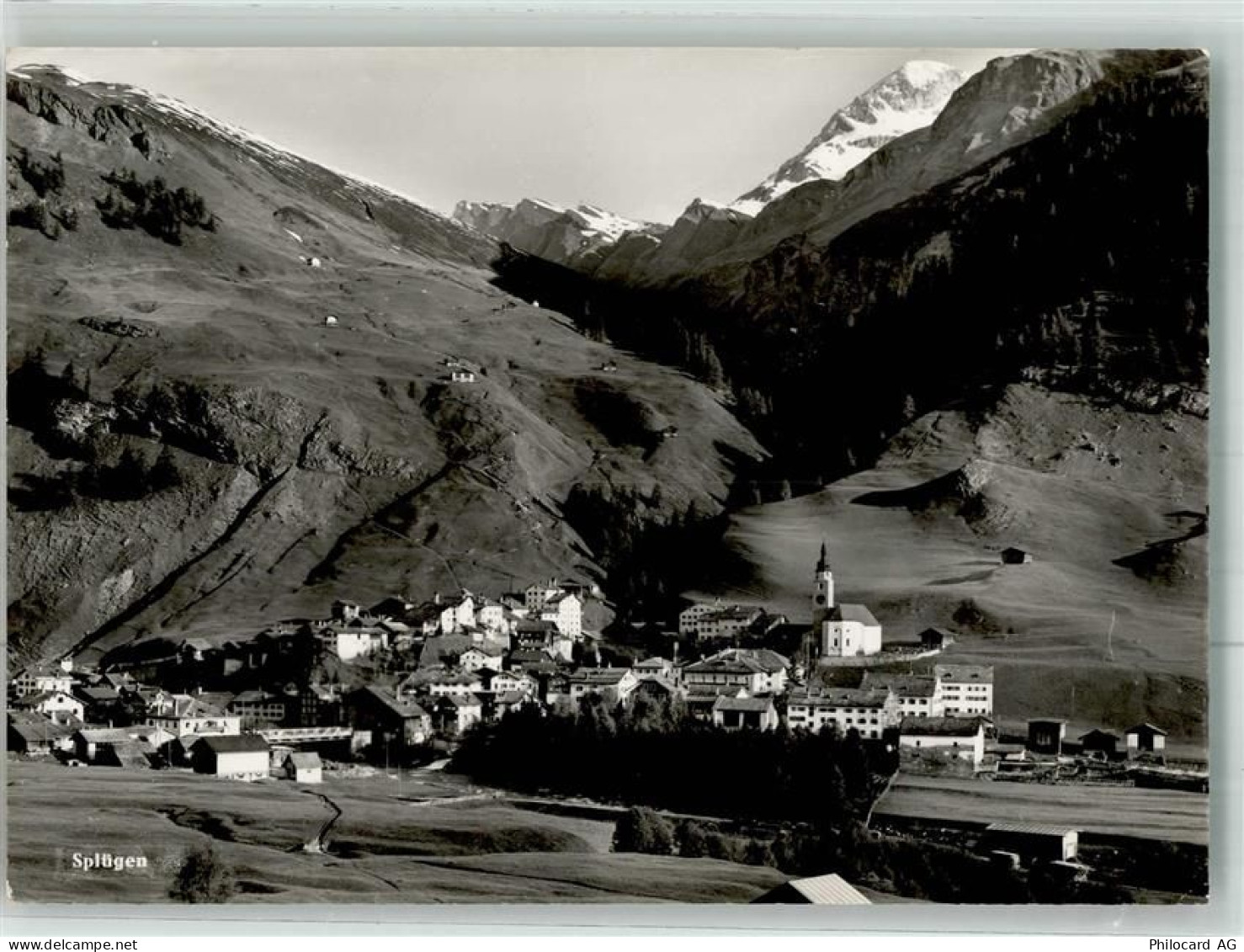 7435 Splügen Foto AK Feldpost Infanterieschulen - 38023422