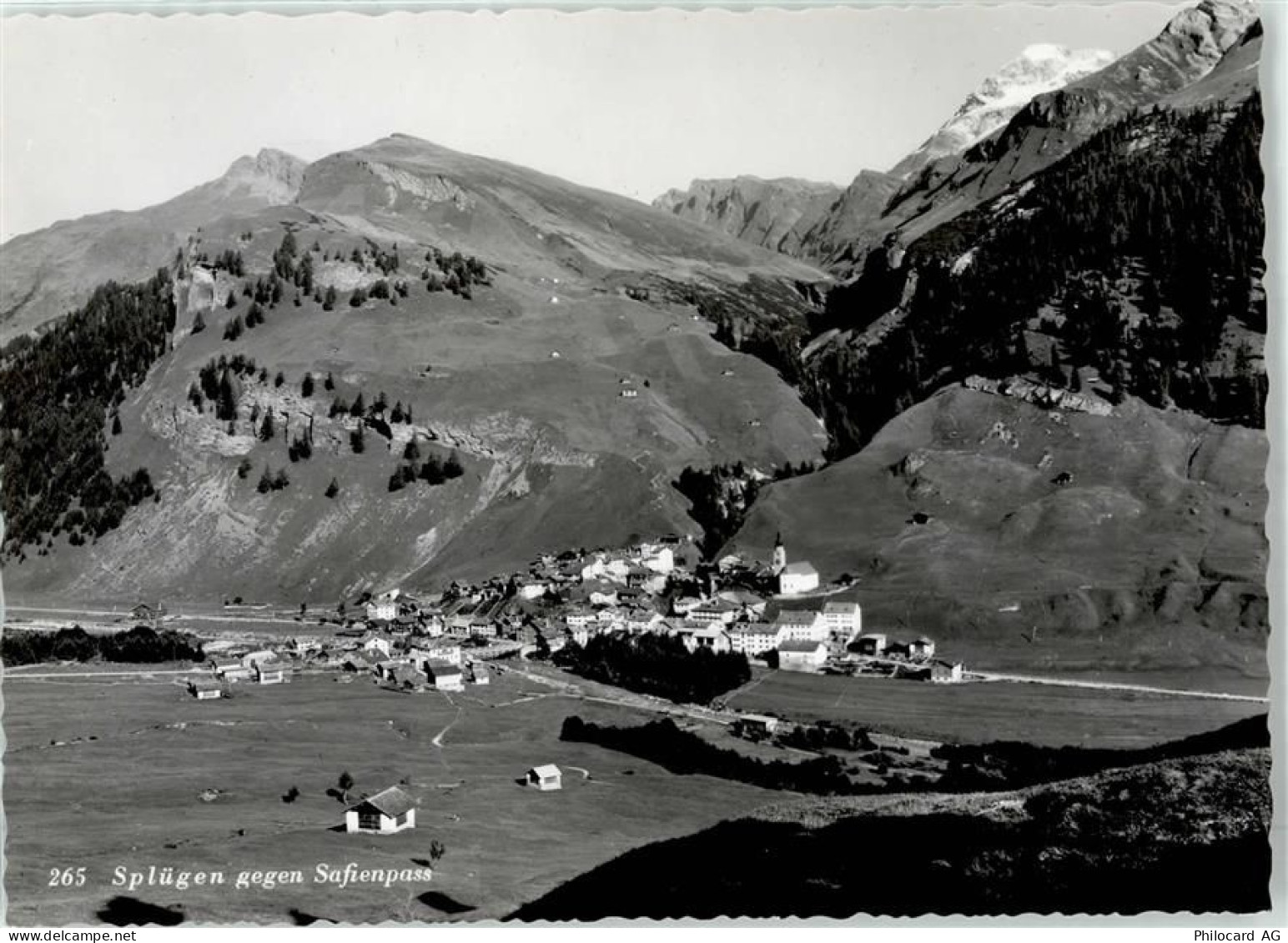 7435 Splügen - Safienpass - 51834214