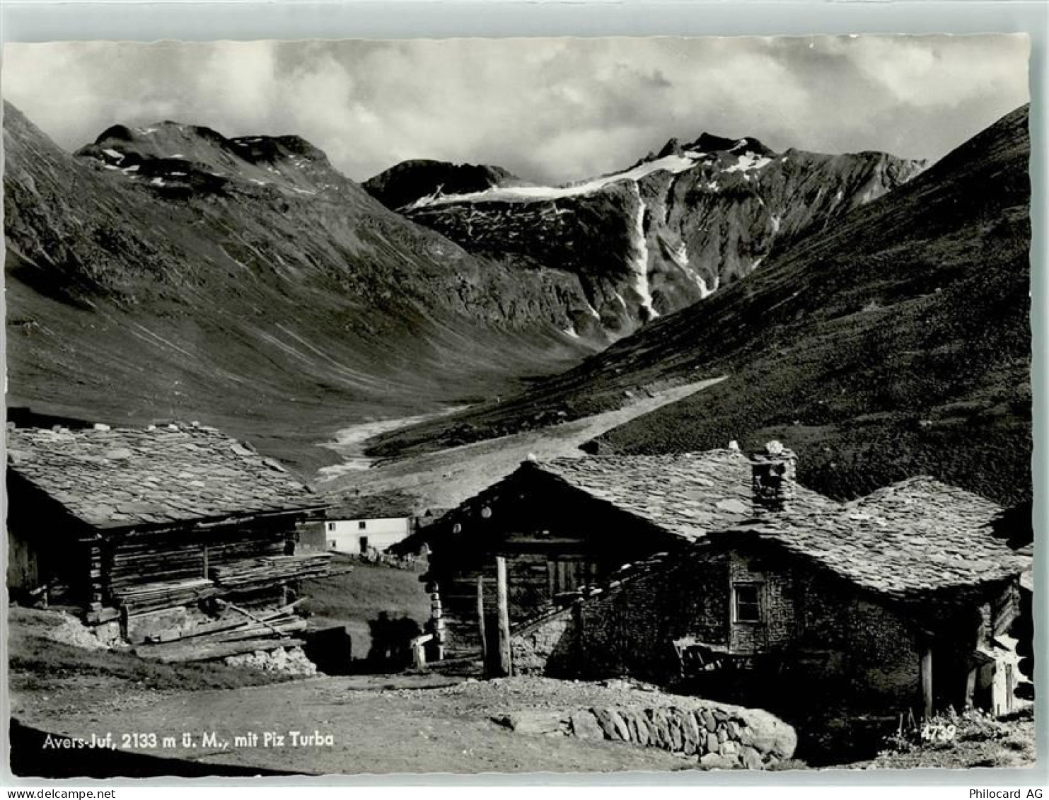 7447 Cresta Avers - Alphütten Piz Turba - 10589621