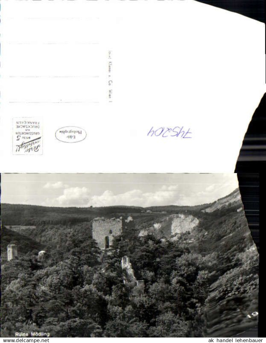 745204 Foto AK Mödling b. Wien Ruine Mödling