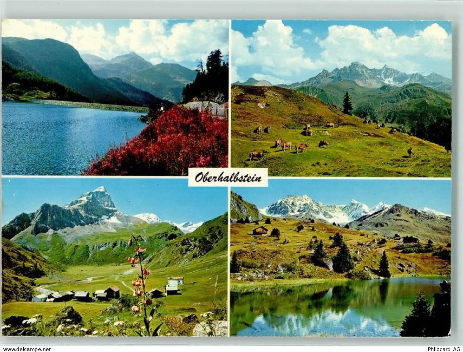 7456 Marmorera - Oberhalbstein Kühe Alp Tscharnoz Alp Faller Flixersee... - 39494201