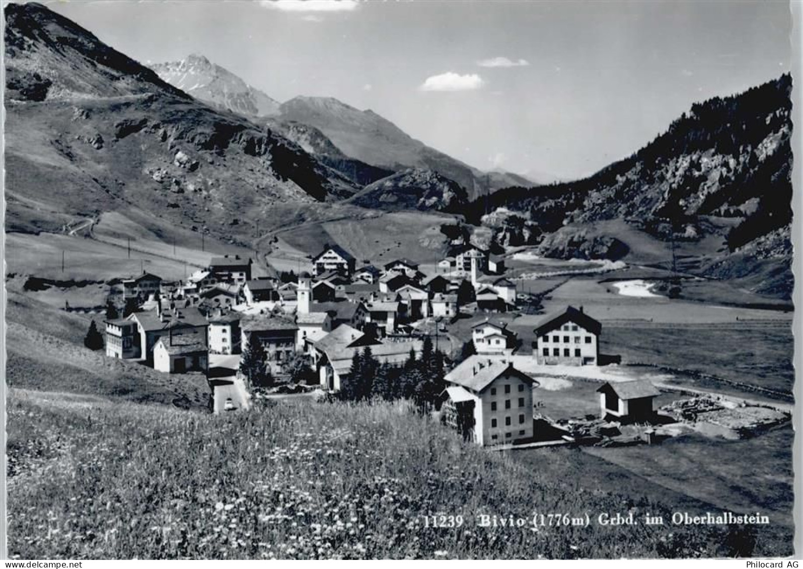 7457 Bivio - 50413252