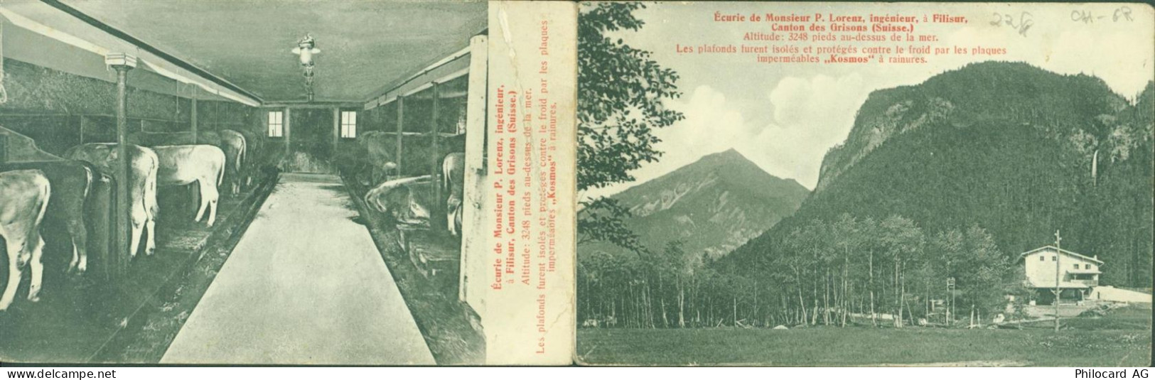7477 Filisur KEINE AK Kuhstall Klappkarte - 13816912