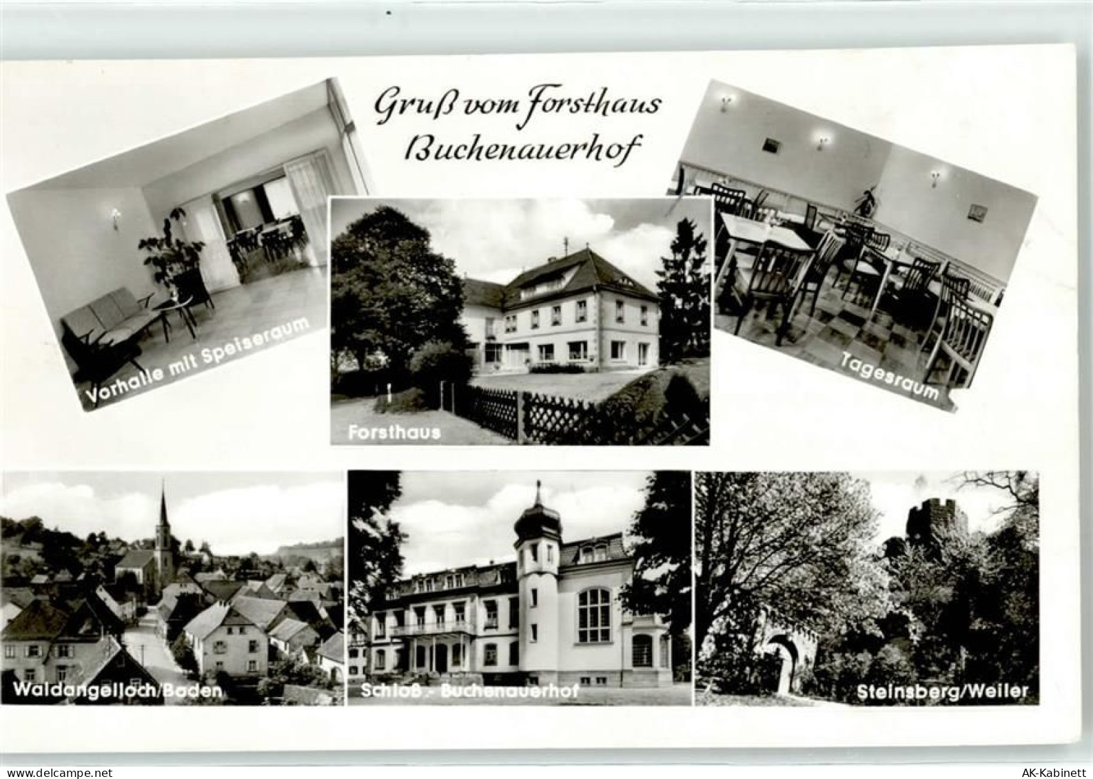 74889 W6920 Sinsheim , Elsenz - Schloss Buchenauerhof - 51657874
