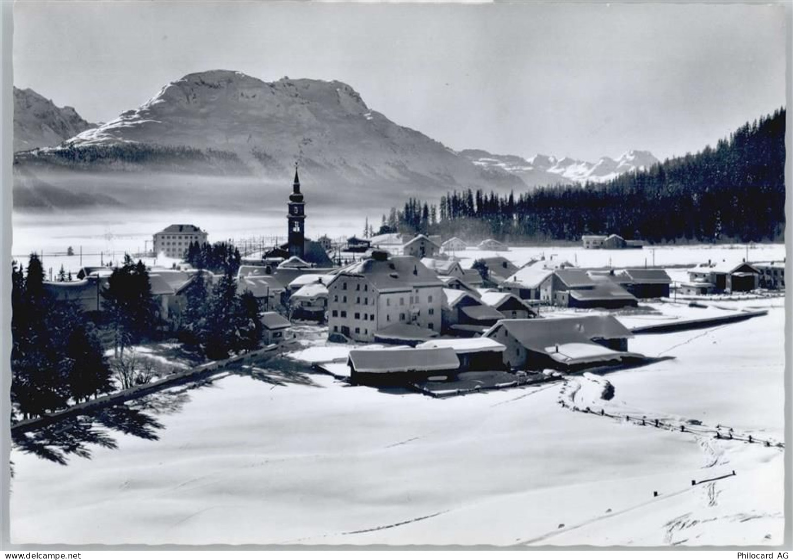 7502 Bever Spinas - 50563444