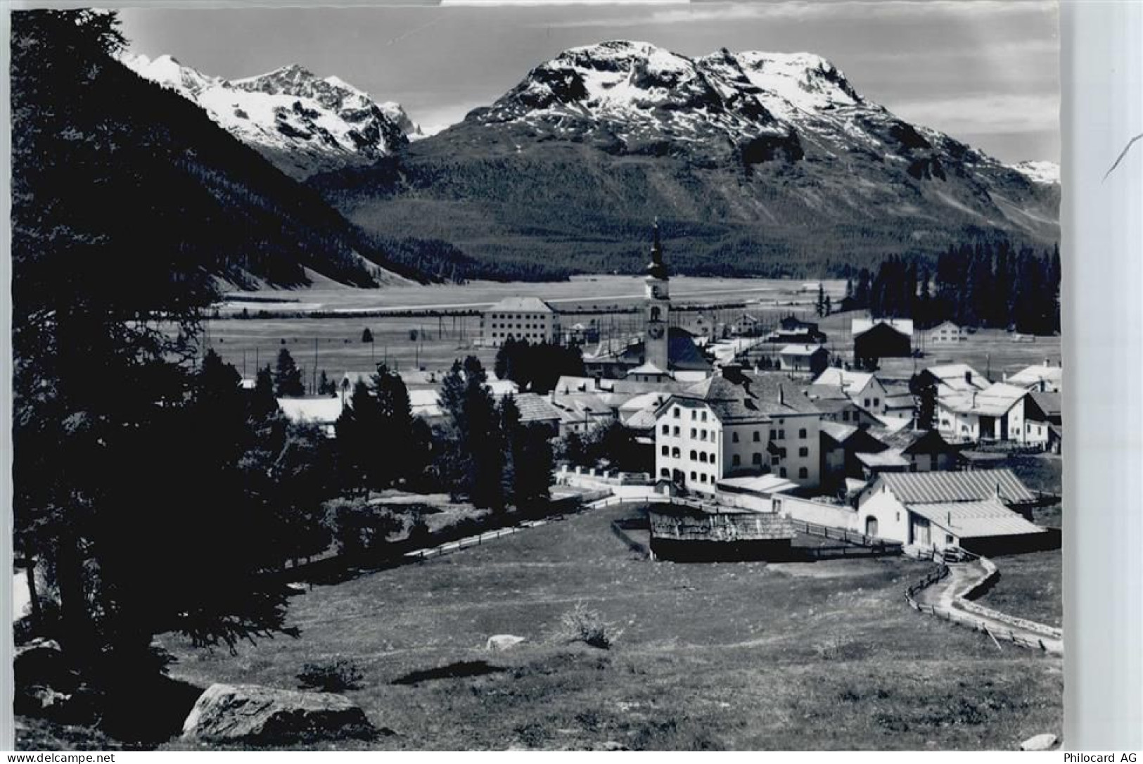 7502 Bever Spinas - 50563450