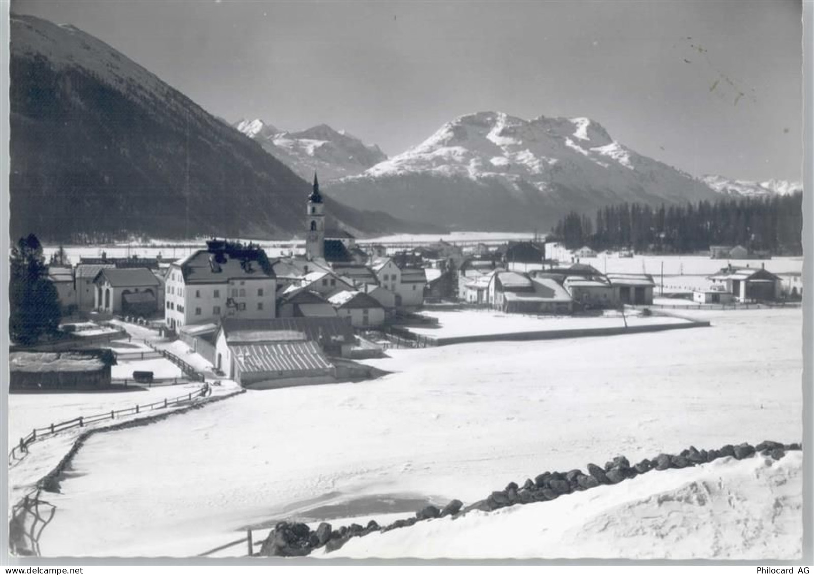 7502 Bever Spinas - 50563484