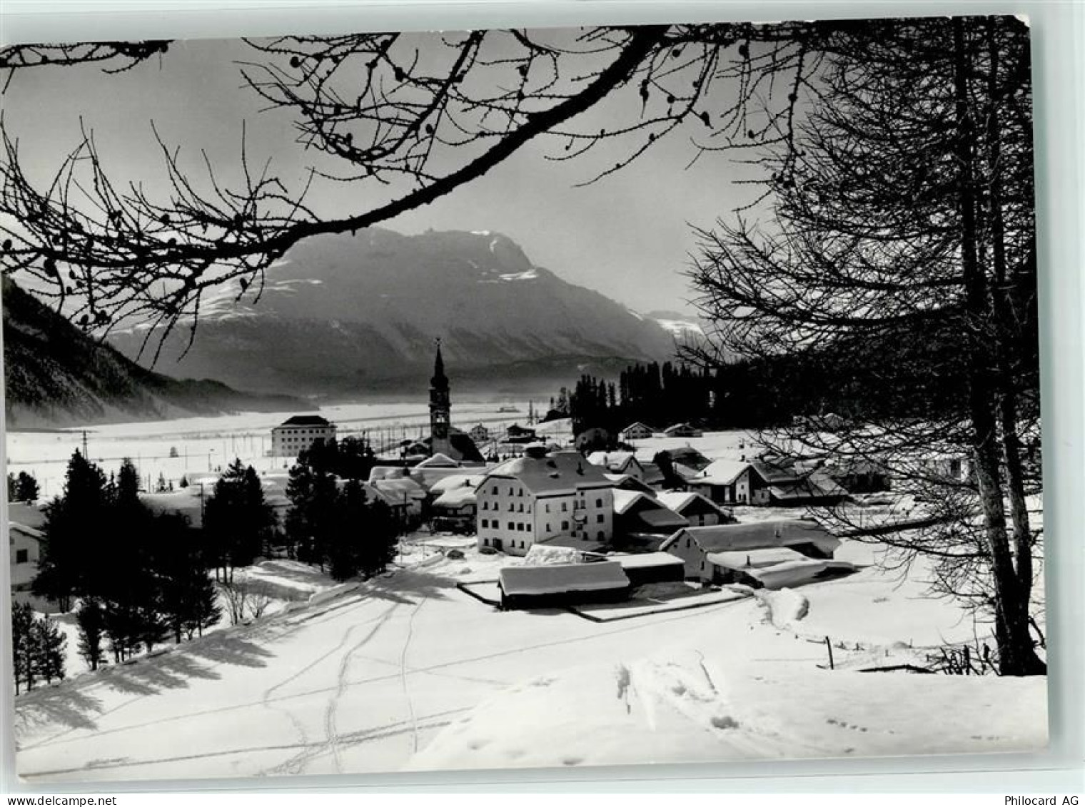 7502 Bever - Winter - 39374312