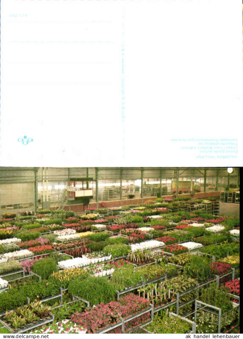 750487 Aalsmeer Holland