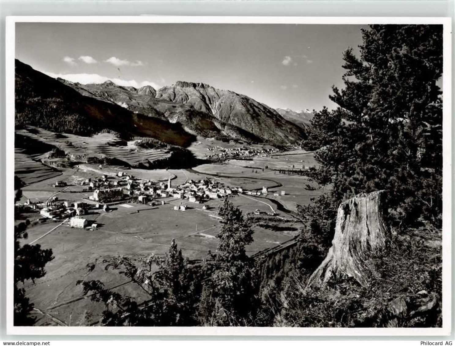 7505 Celerina/Schlarigna - 52010424