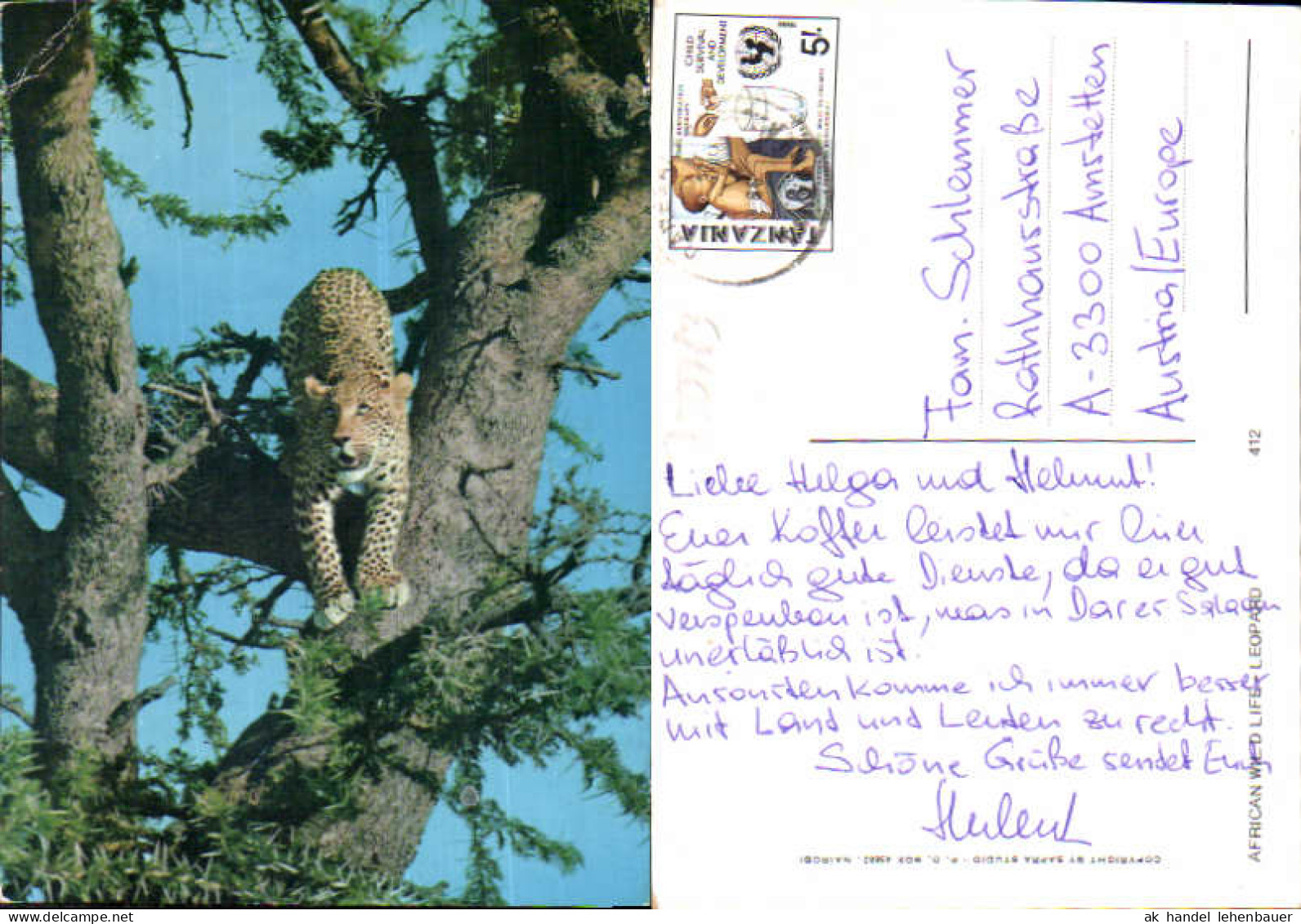 750783 Africa Wildlife Leopard Tanzania