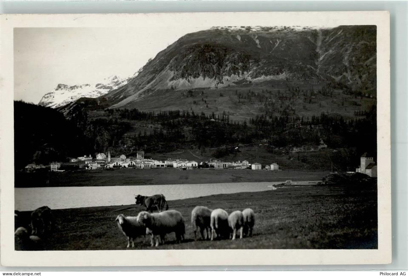 7513 Silvaplana - 10207319