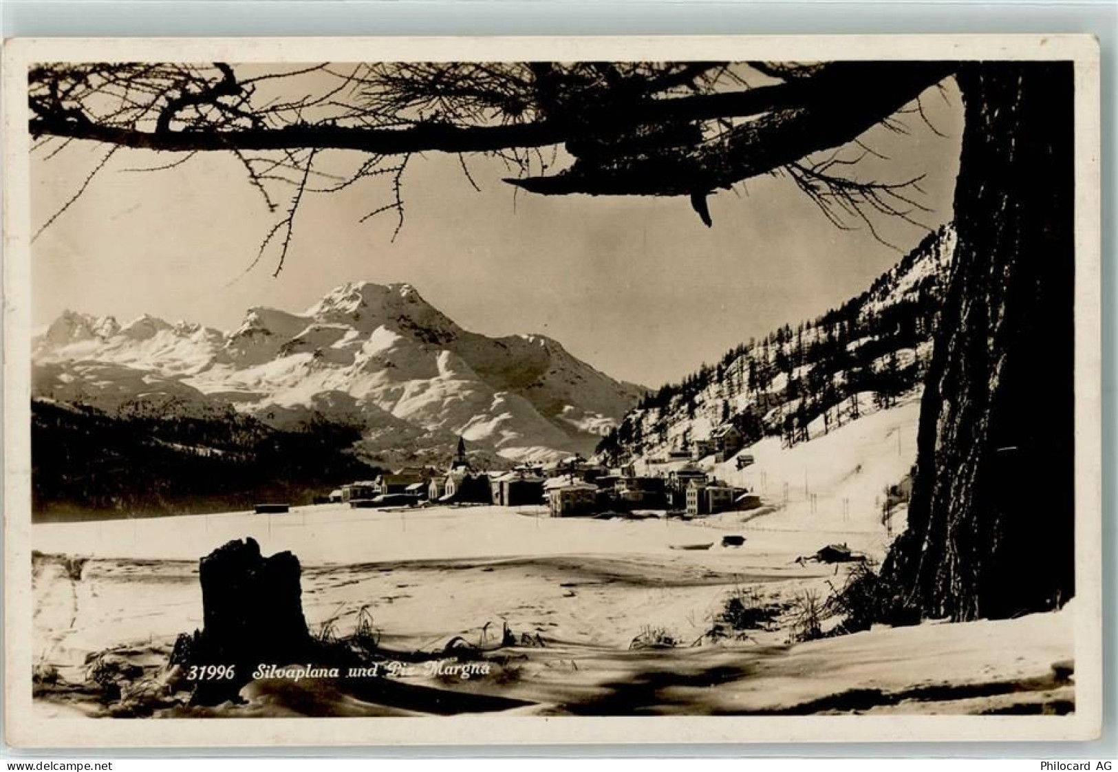 7513 Silvaplana - 10207331
