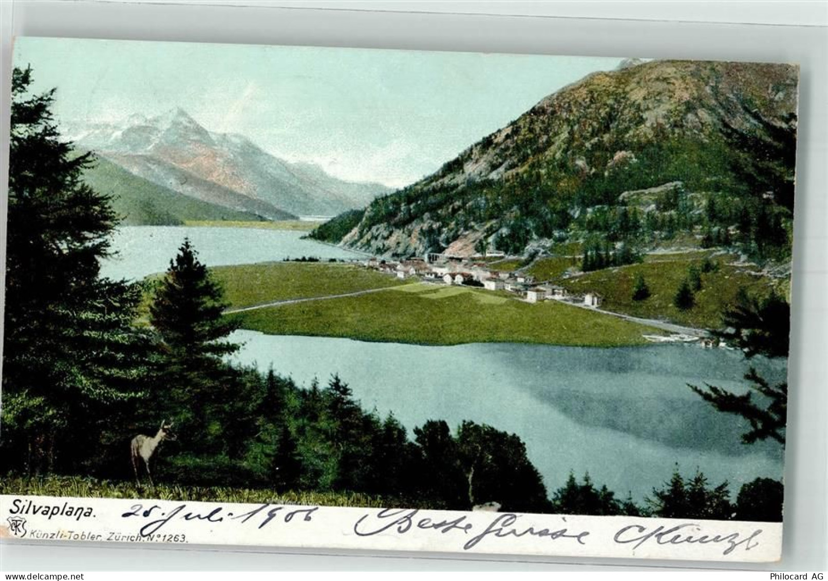 7513 Silvaplana 1906 - 39698612