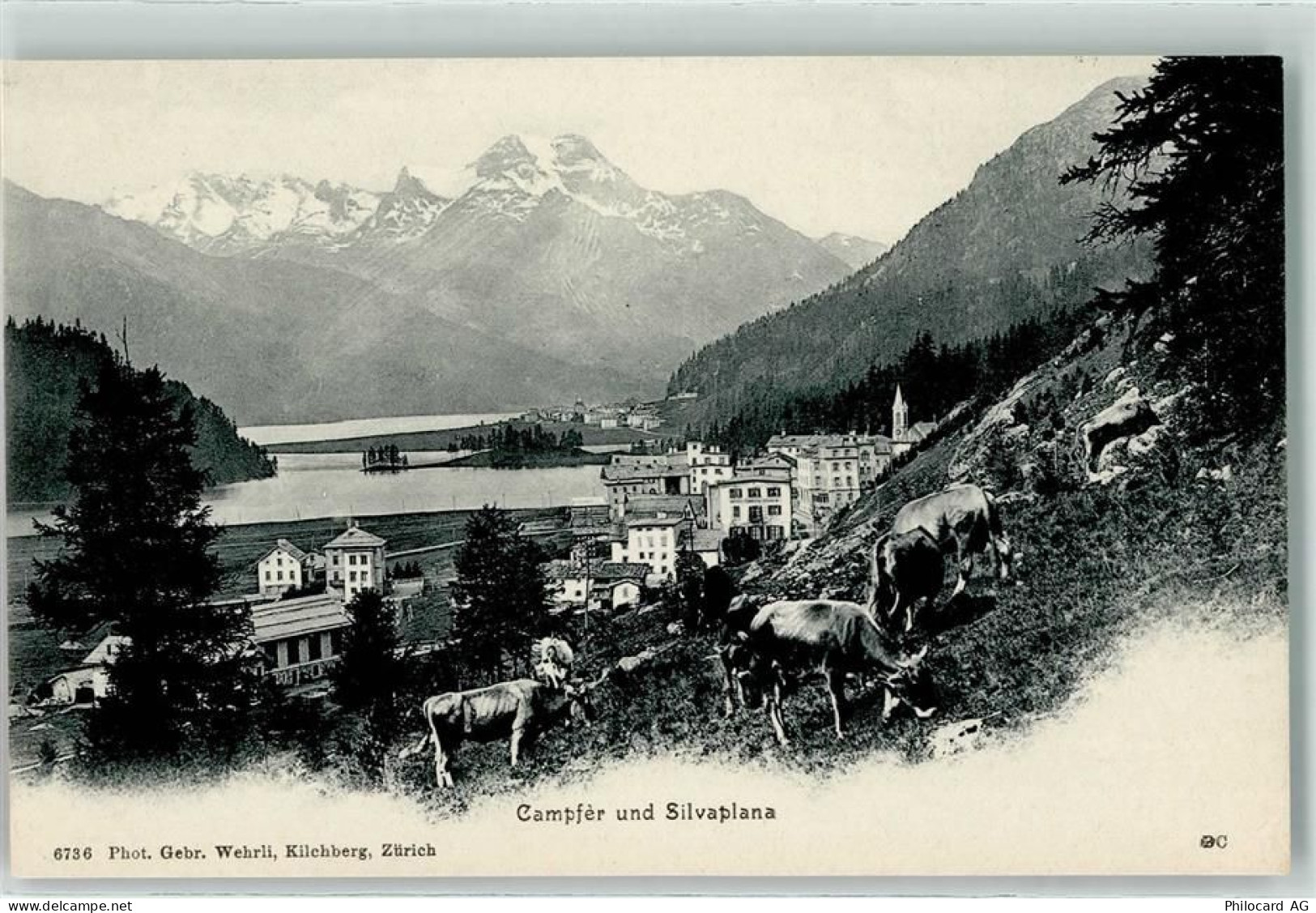 7513 Silvaplana - Champfer - 10609581