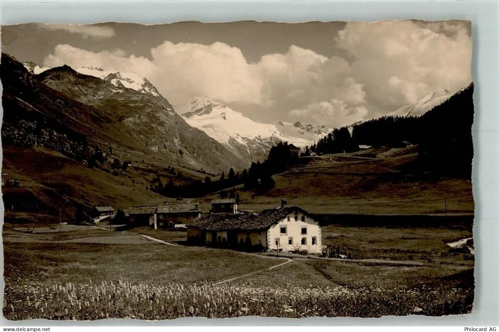 7514 Sils/Segl Maria - 10585843