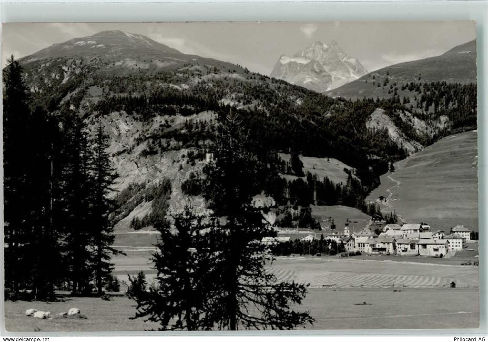 7523 Madulain 1951 Foto AK - 10300855