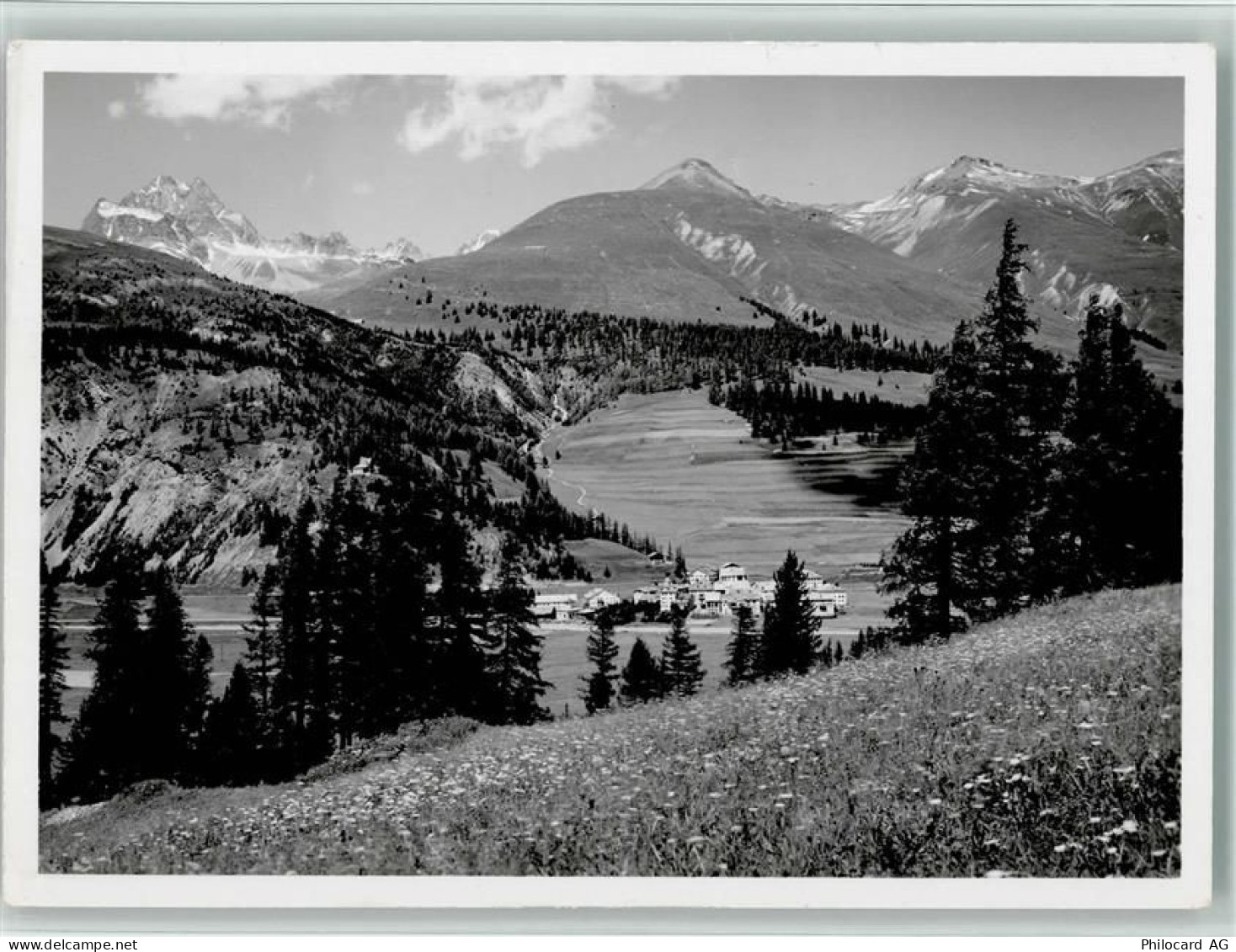 7523 Madulain - im Engadin mit Piz Kesch - 11089016