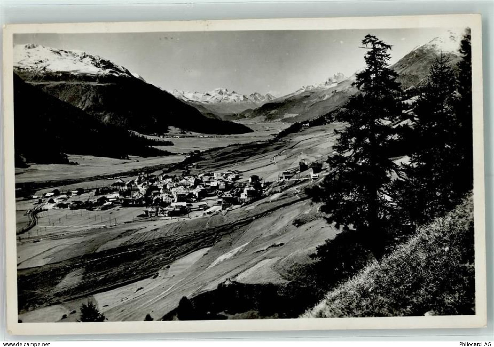 7524 Zuoz - 10207834