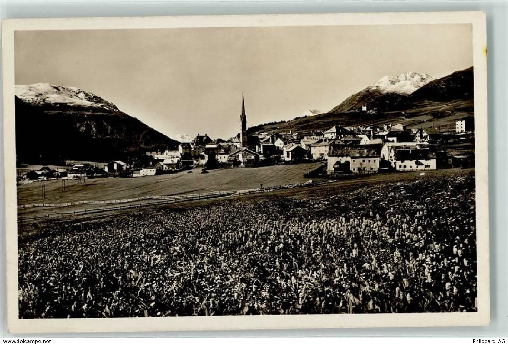 7524 Zuoz - 10601536