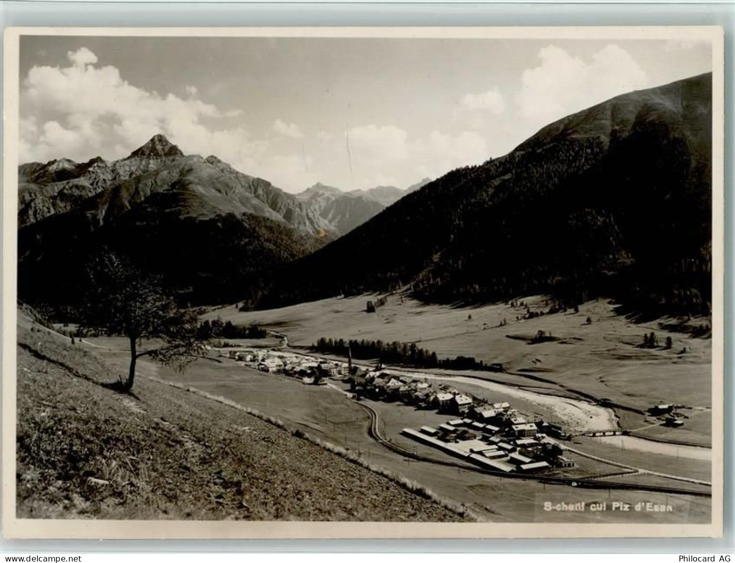 7525 S-chanf - 10157658