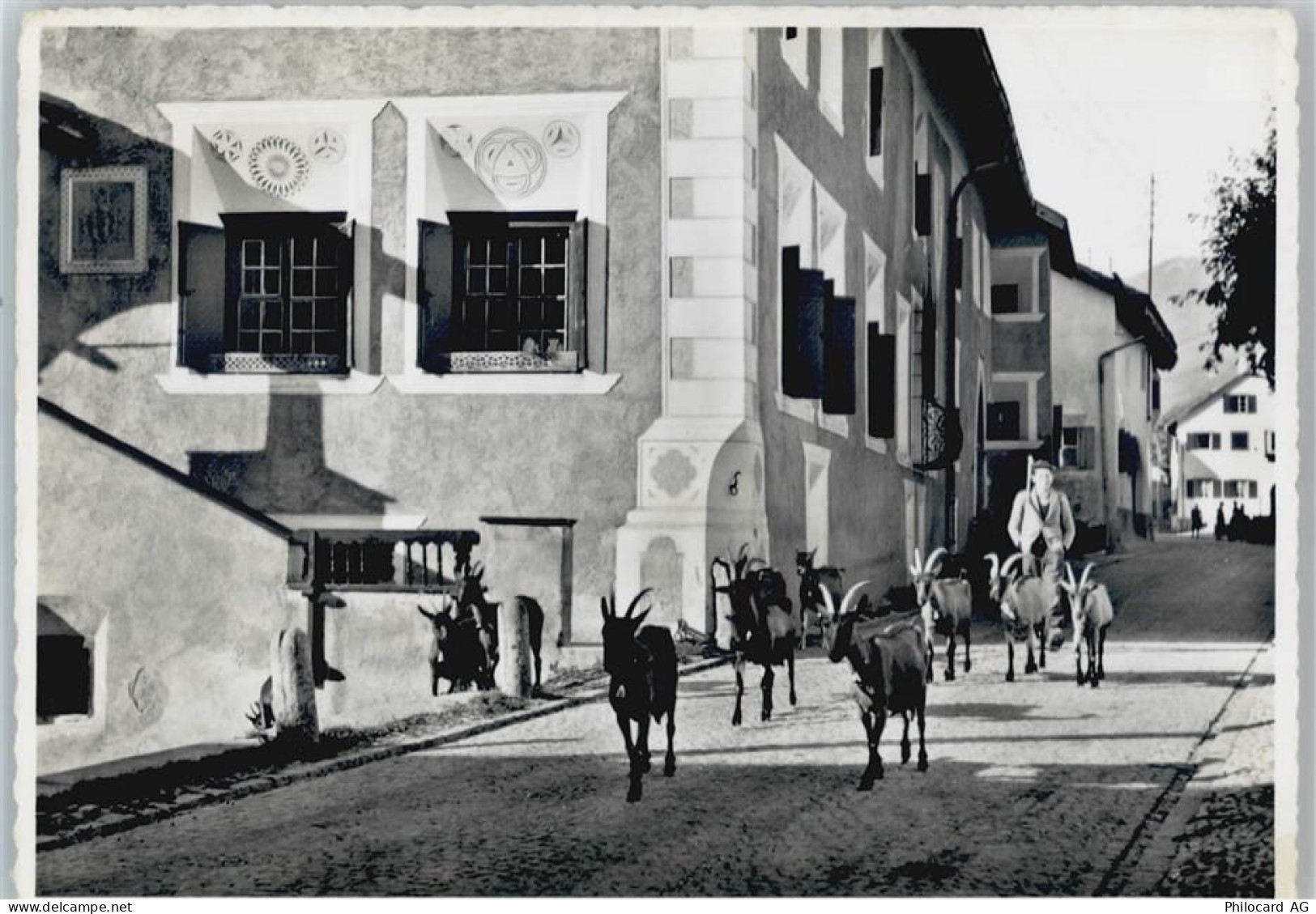 7525 S-chanf - Dorfstraße Ziege - 50565652