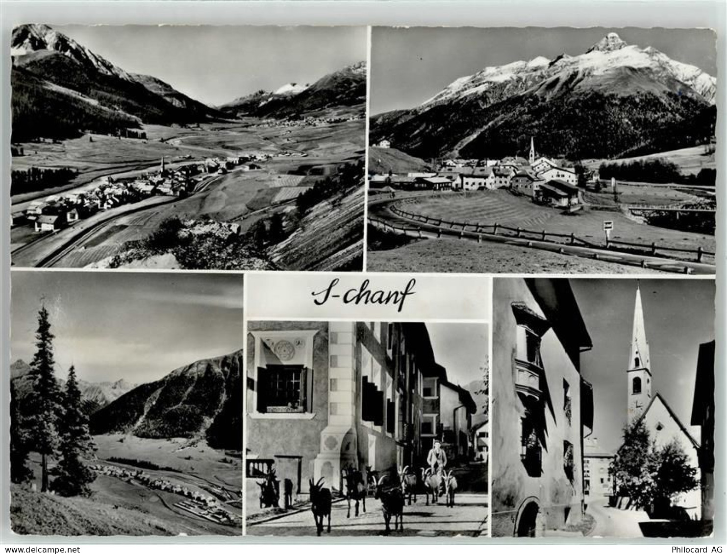 7525 S-chanf - Kirche Ziegenherde - 52010255