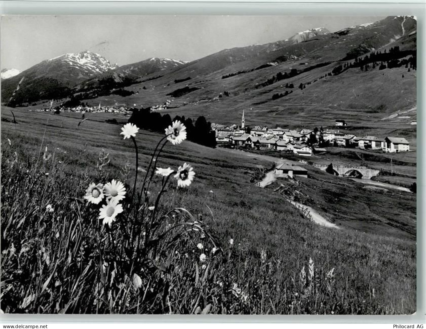 7525 S-chanf - Oberengadin Margritten - 11088487