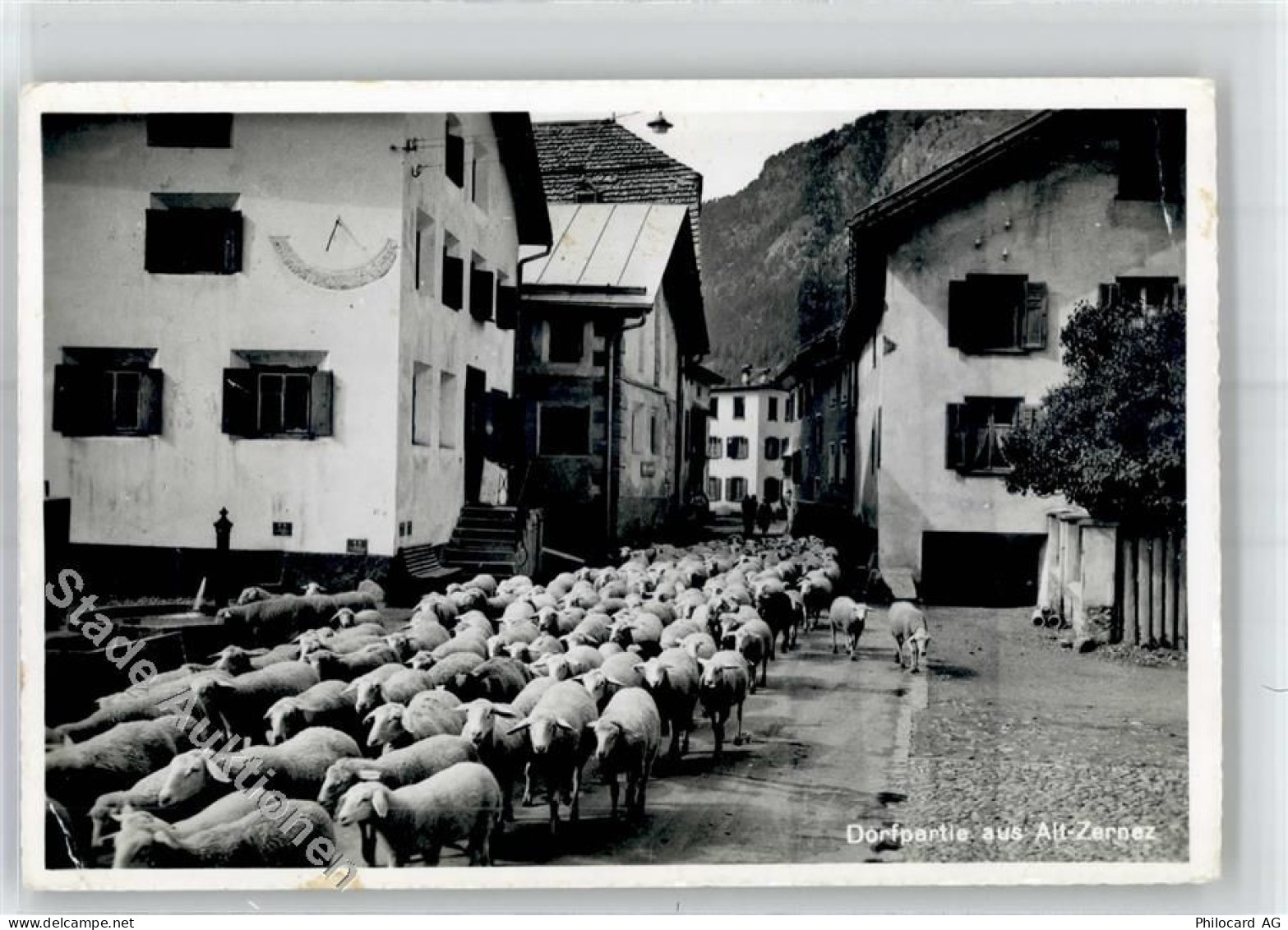 7530 Zernez - Dorfpartie Brunnen Schafherde - 51796502