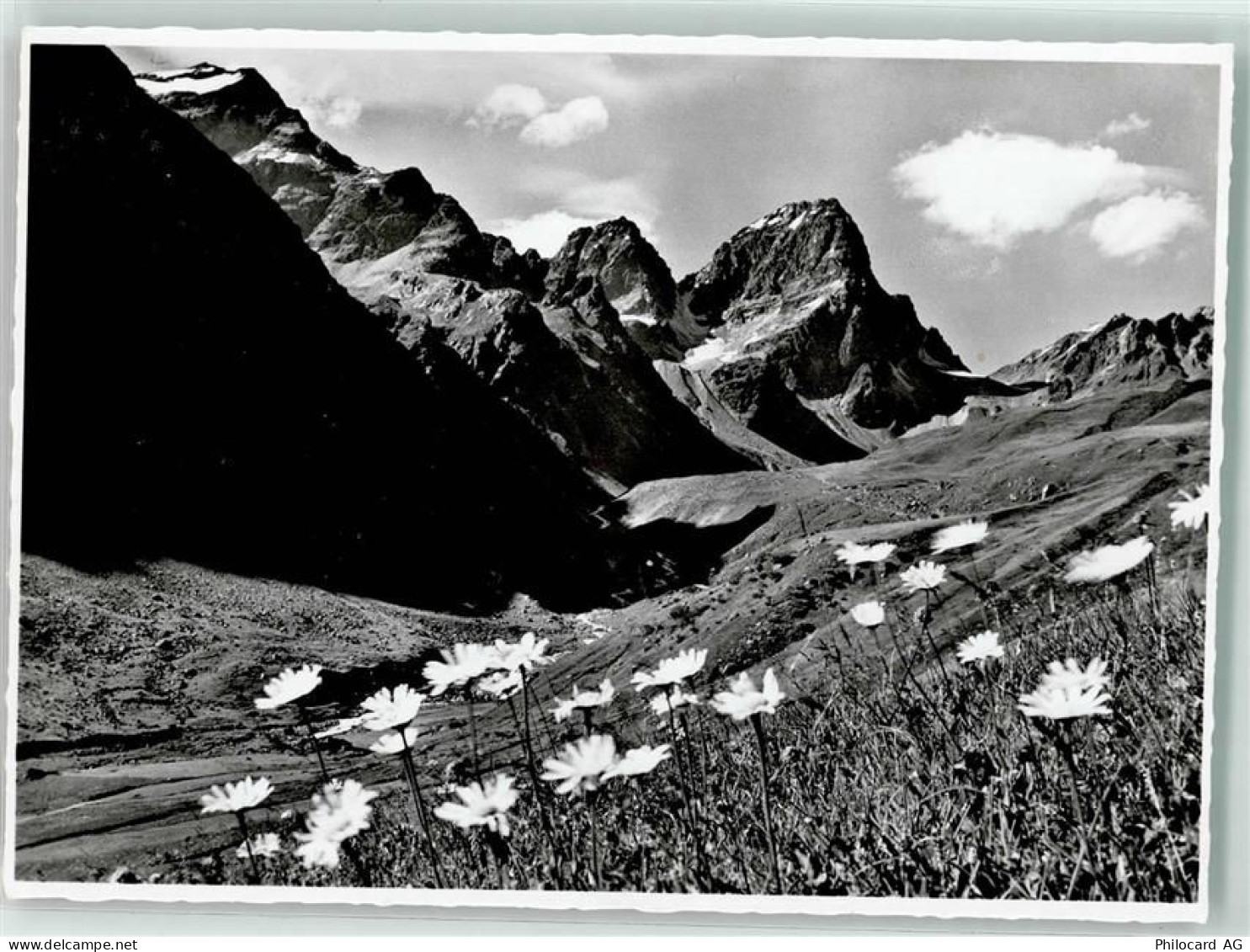 7545 Guarda - 39495676