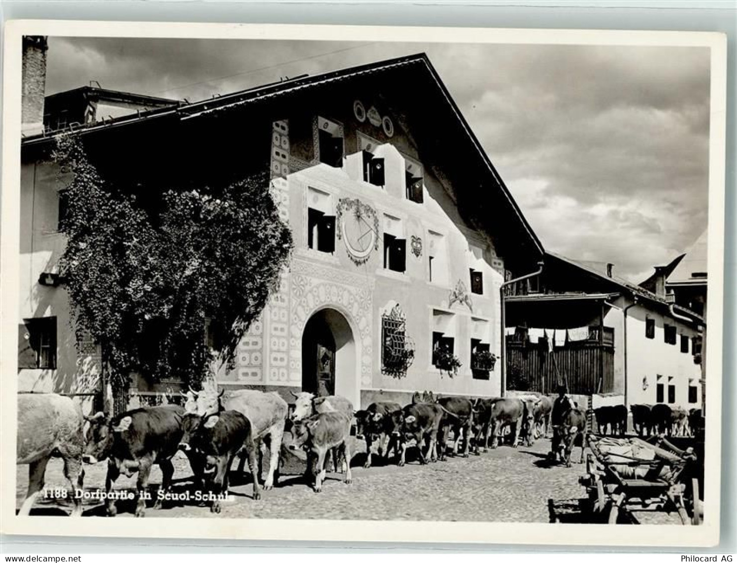 7550 Scuol Schuls - Rinderabtrieb - 39697200