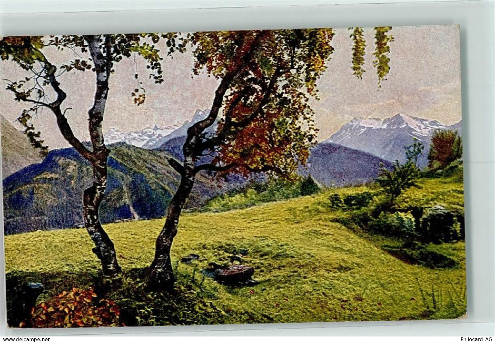 7551 Ftan 1923 - Environs de Fetan - 10217326