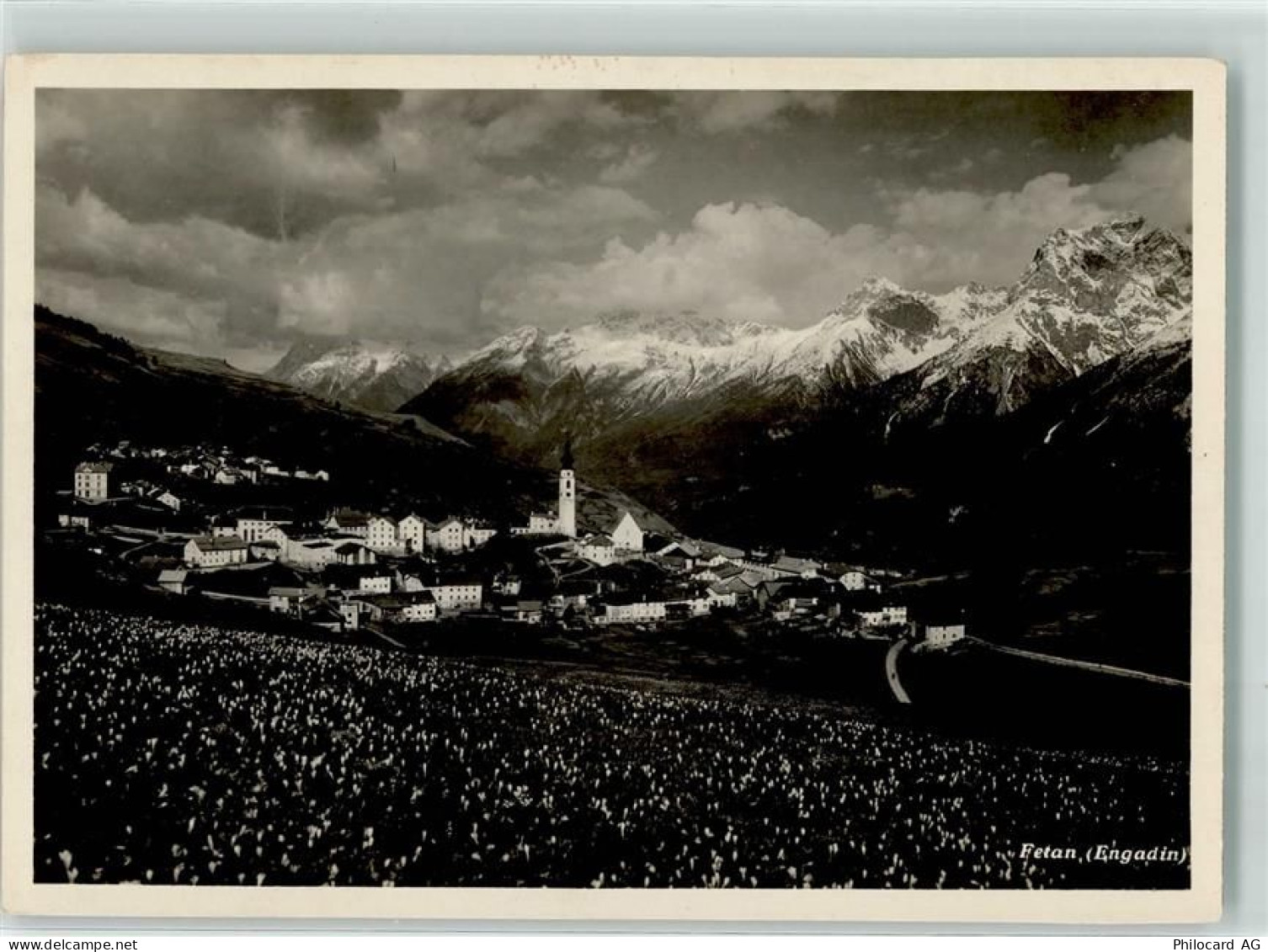 7551 Ftan - 39374794