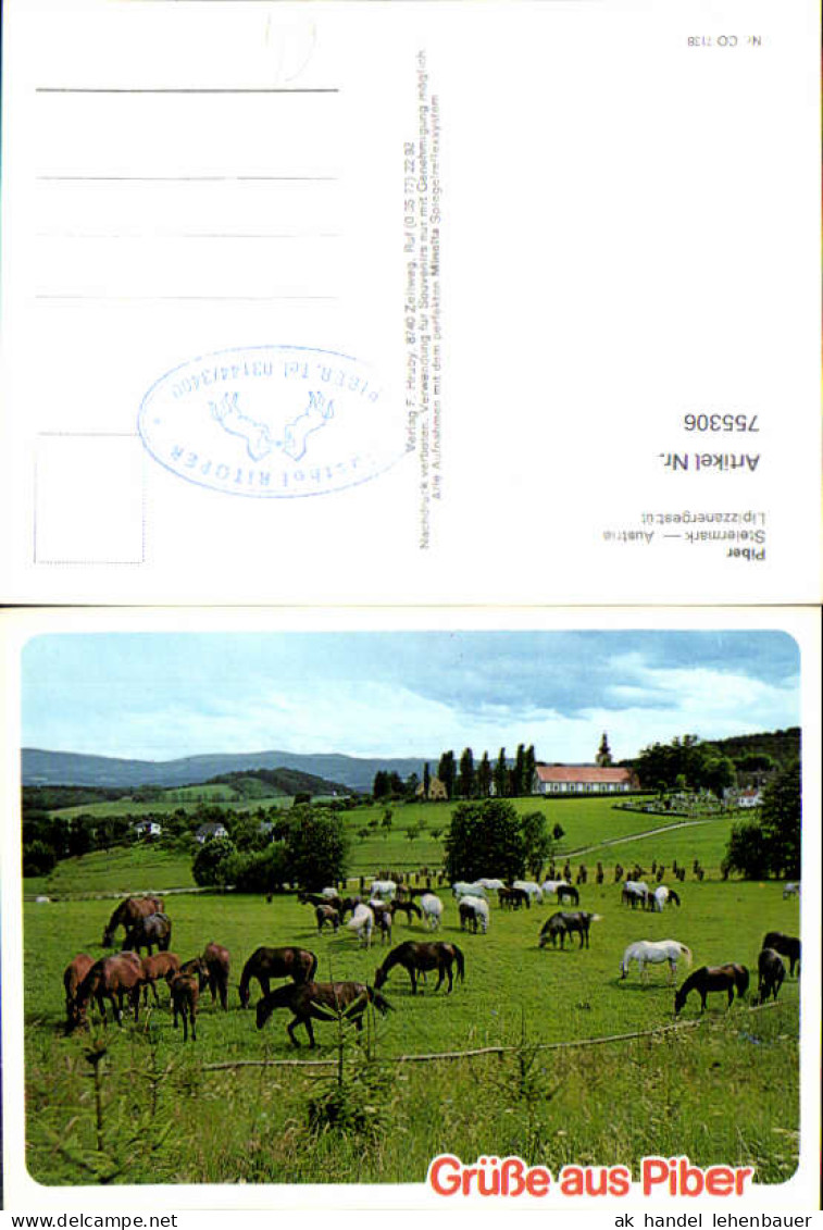 755306 Piber Lipizzanergestüt Köflach Bez. Voitsberg