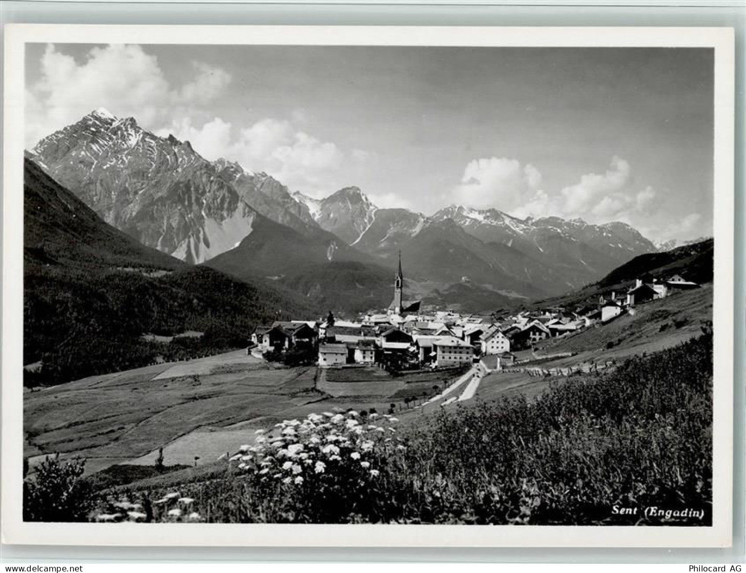 7554 Sent - Engadin - 11057989