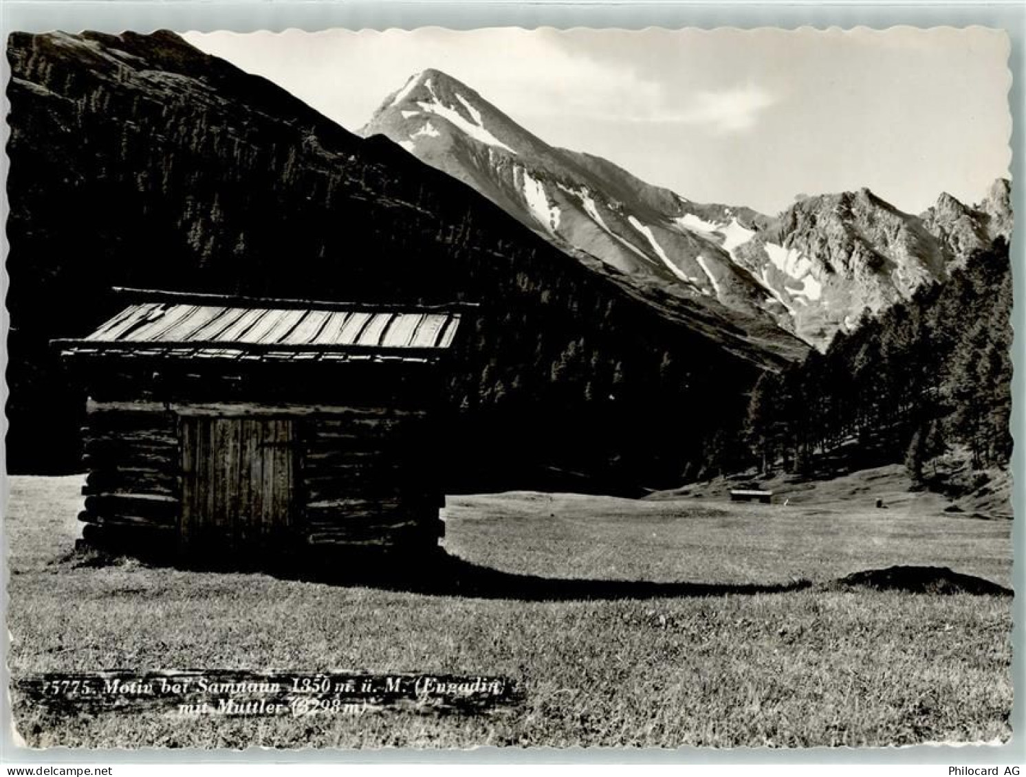 7563 Samnaun Dorf - Muttler - 10612023