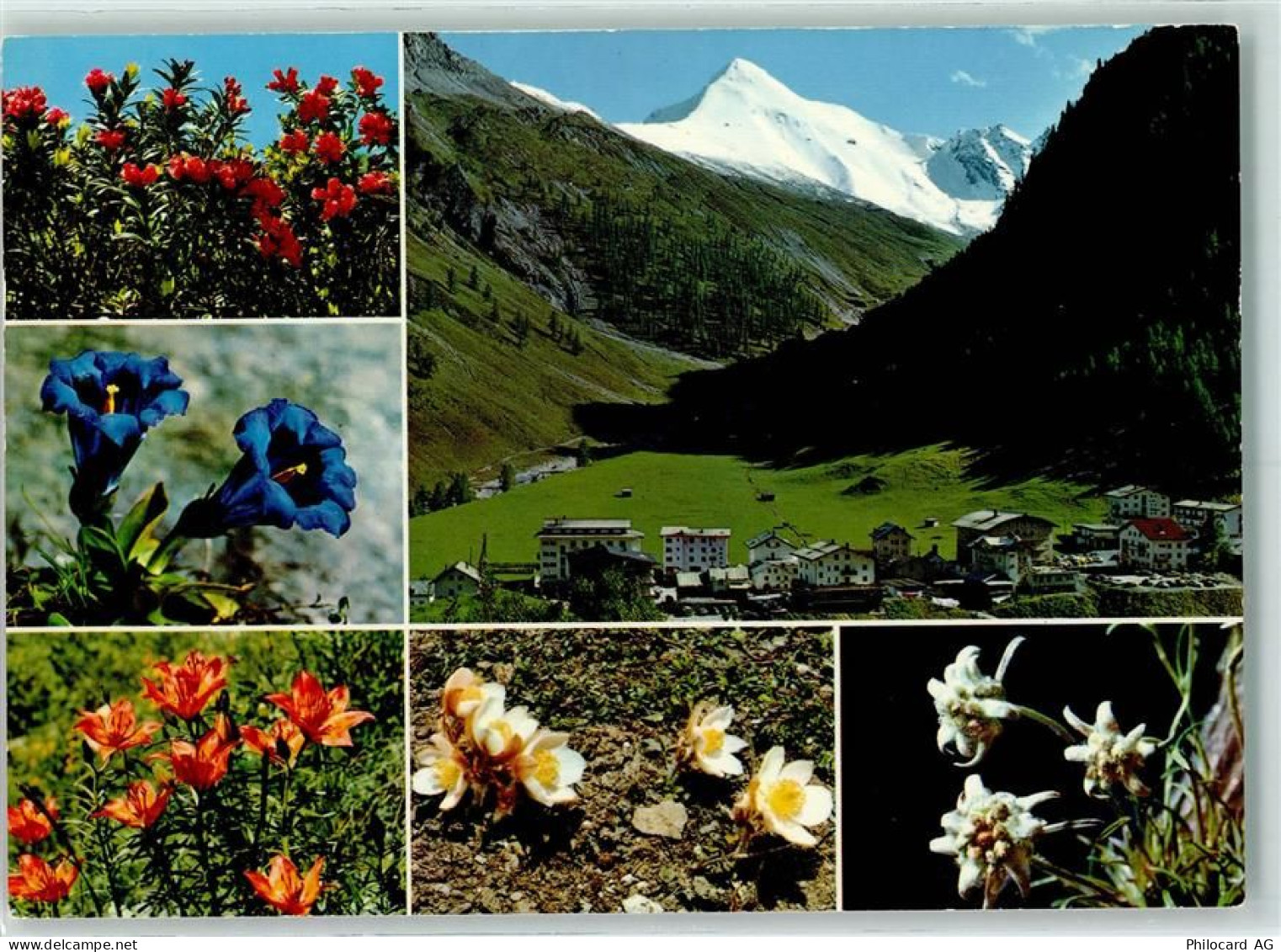 7563 Samnaun Dorf - Muttler Enzian Edelweiss - 10281084