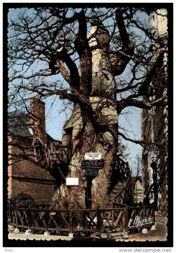76 Allouville-Bellefosse arbre chene D76D K76758K C76001C RH095781