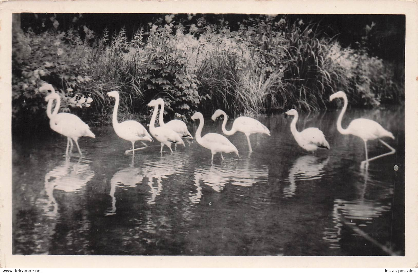 76 CLERES PARC ZOOLOGIQUE DE CLERES