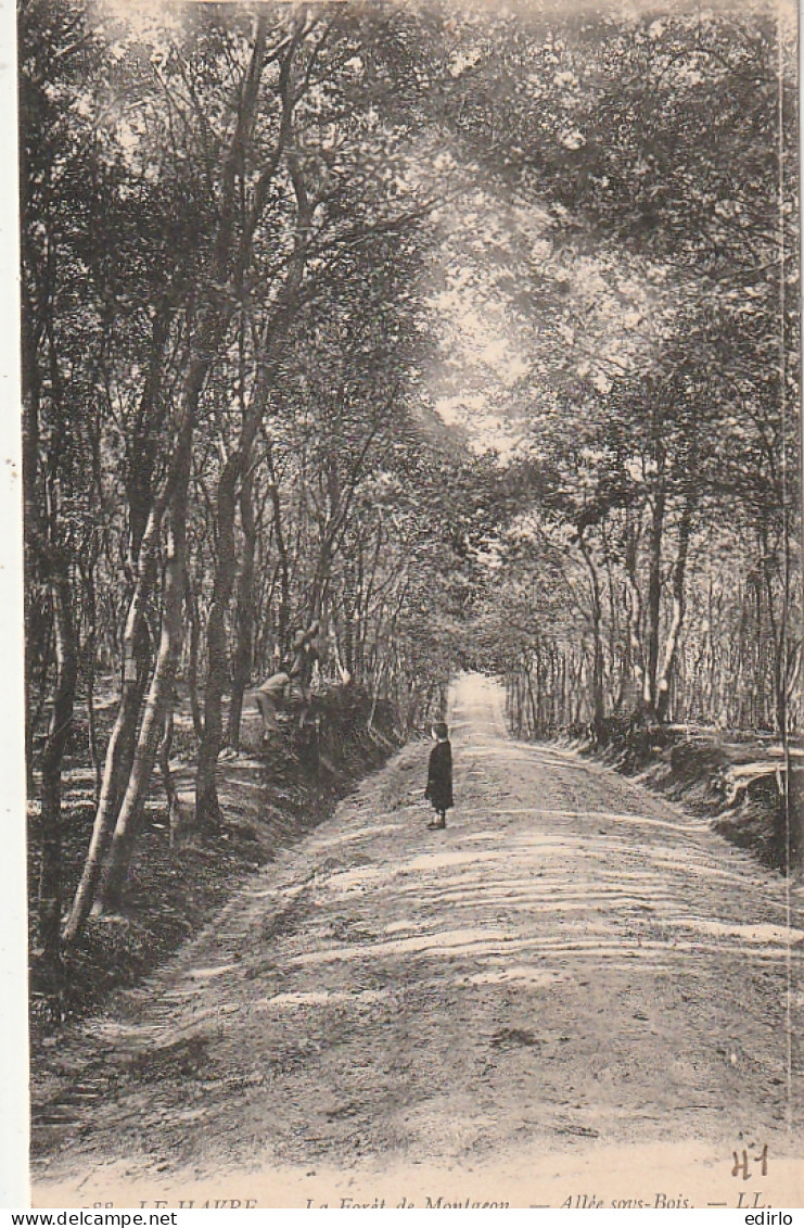 *** 76  ***   LE HAVRE  forêt de Montgeon neuve TTBE