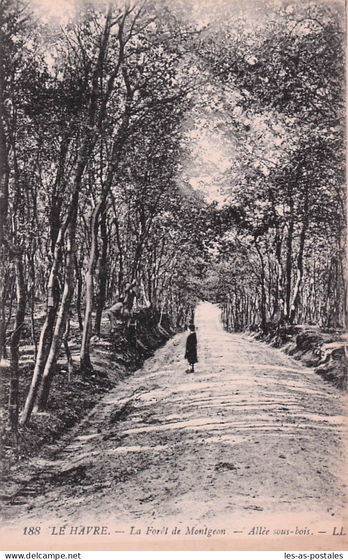 76 LE HAVRE LA FORET DE MONTGEON