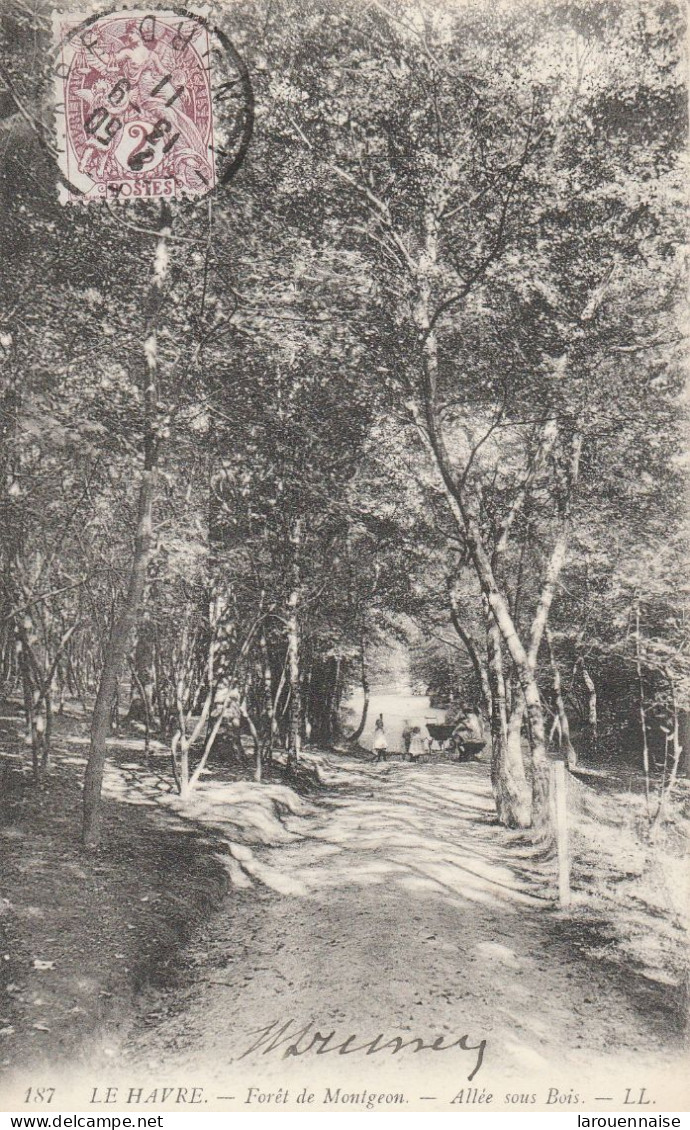 76 - LE HAVRE - La Forêt de Montgeon - Allée sous Bois