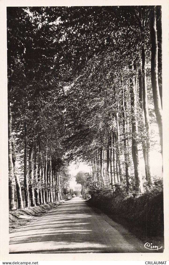 76 OFFRANVILLE LA PASSEE