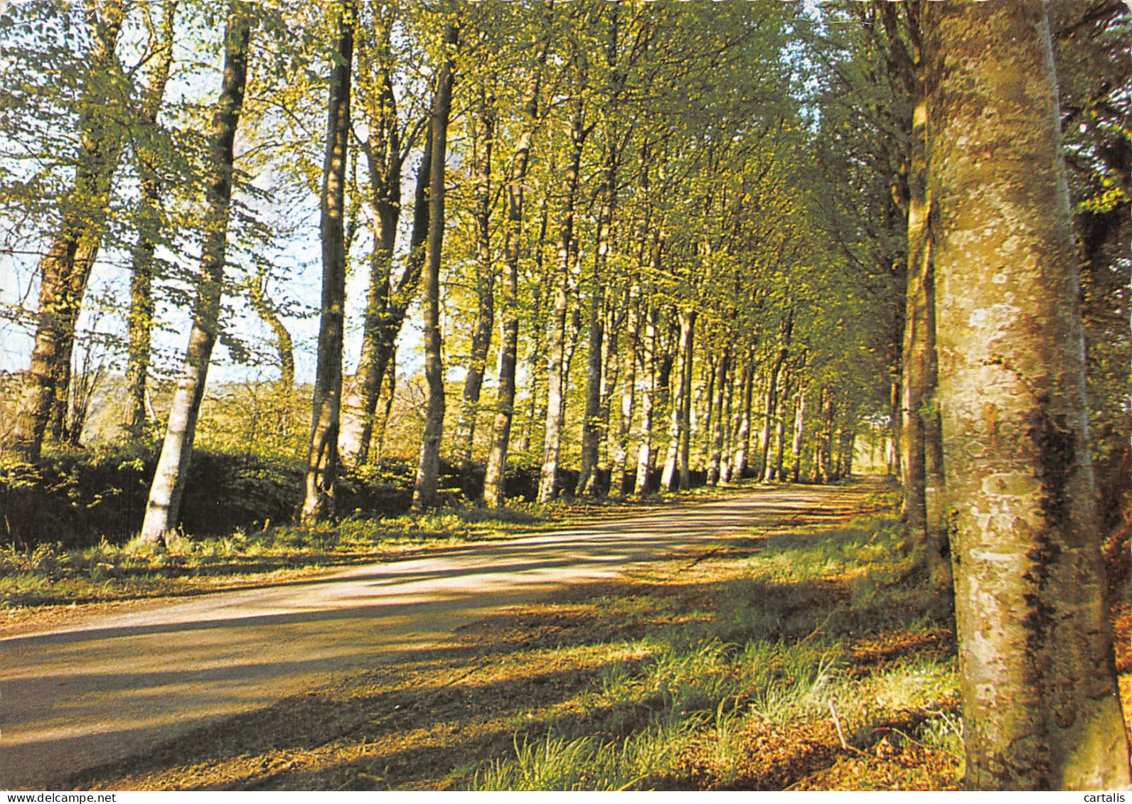 76-OURVILLE EN CAUX-N°C-4364-A/0395