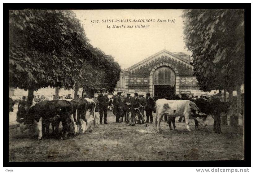 76 Saint-Romain-de-Colbosc marche aux bestiaux D76D K76647K C76647C RH097586