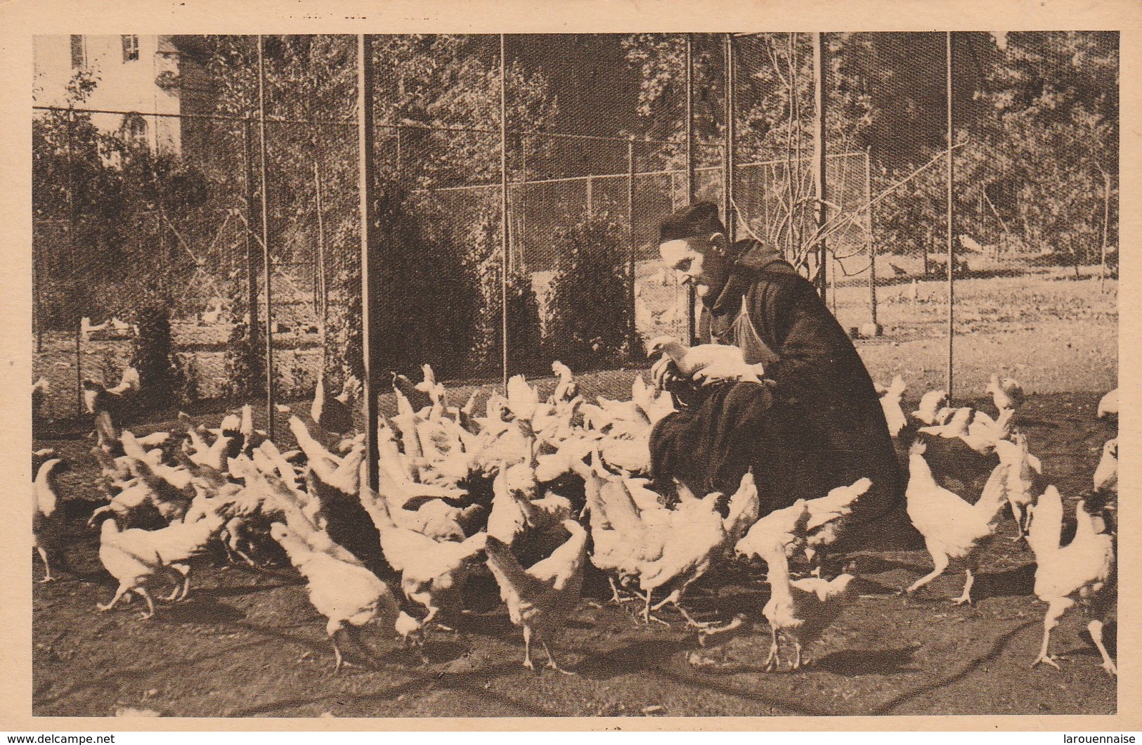 76 - SAINT WANDRILLE RANCON - Le Poulailler