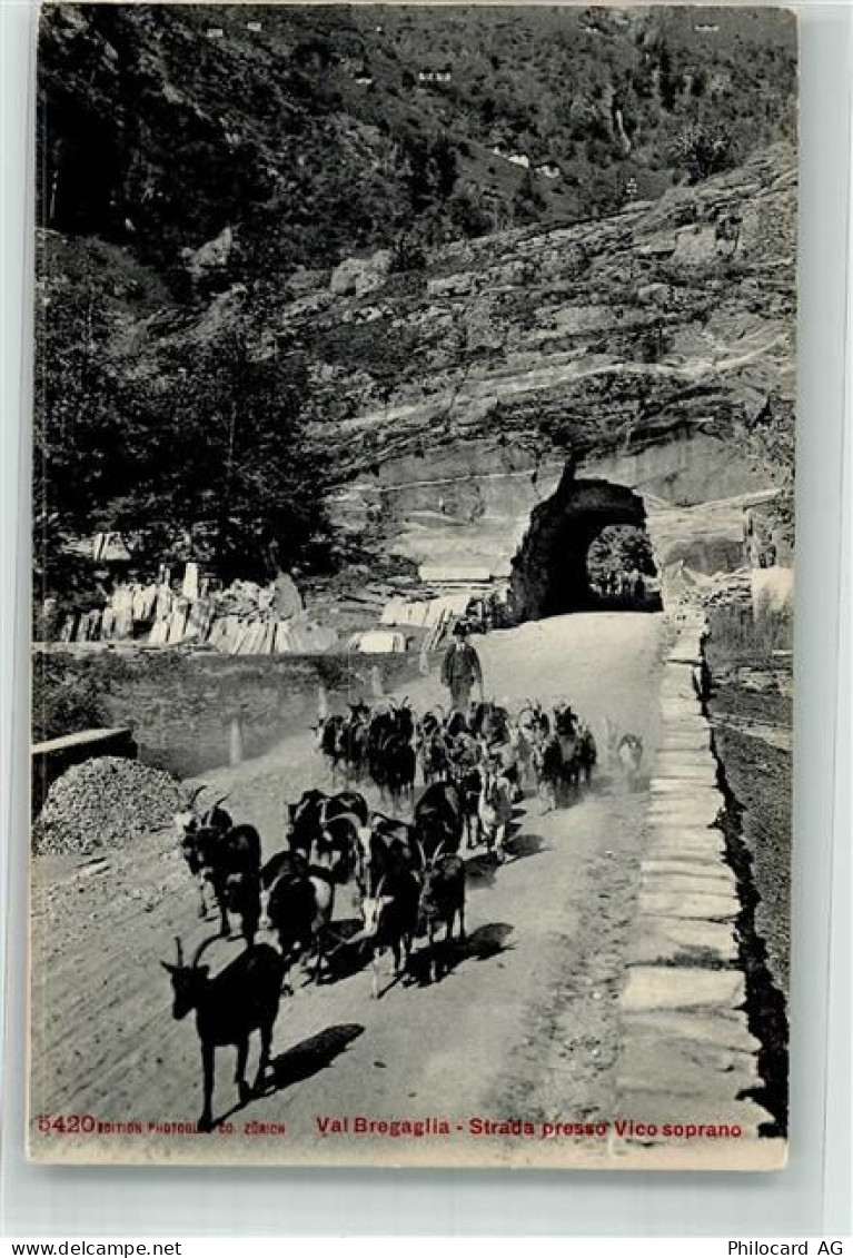 7603 Vicosoprano - Ziege Strada presso Vico soprano - 10696306